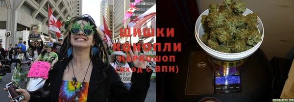 гидропоника Пересвет