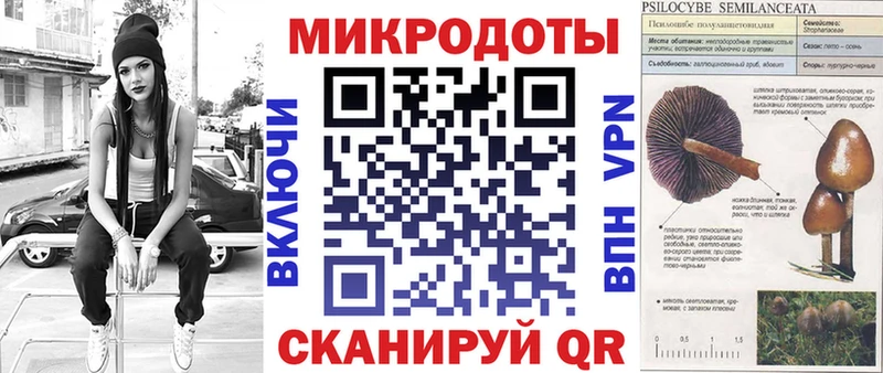 omg как зайти  купить наркотики сайты  Спасск  Псилоцибиновые грибы Psilocybine cubensis 